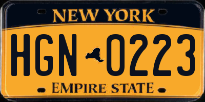 NY license plate HGN0223