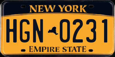 NY license plate HGN0231