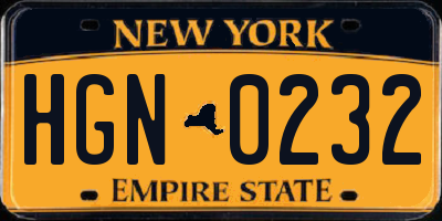 NY license plate HGN0232