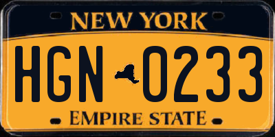 NY license plate HGN0233