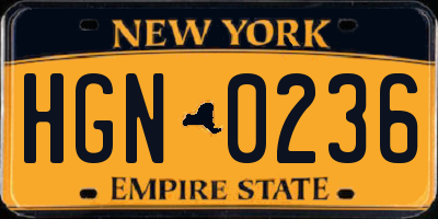 NY license plate HGN0236