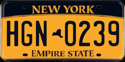 NY license plate HGN0239