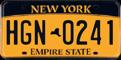 NY license plate HGN0241