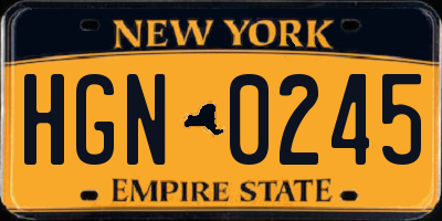 NY license plate HGN0245