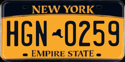 NY license plate HGN0259