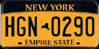 NY license plate HGN0290