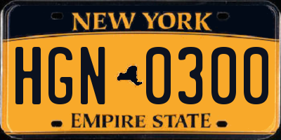 NY license plate HGN0300