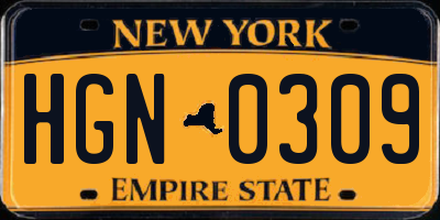 NY license plate HGN0309