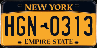 NY license plate HGN0313