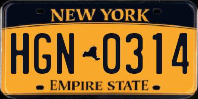 NY license plate HGN0314