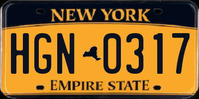 NY license plate HGN0317