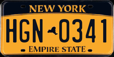 NY license plate HGN0341