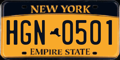 NY license plate HGN0501