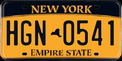 NY license plate HGN0541