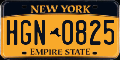 NY license plate HGN0825