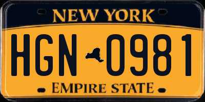 NY license plate HGN0981
