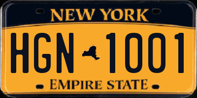 NY license plate HGN1001