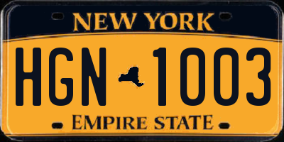 NY license plate HGN1003