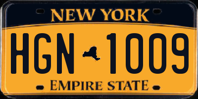 NY license plate HGN1009