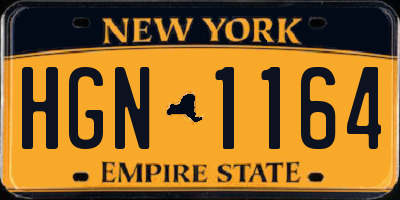NY license plate HGN1164