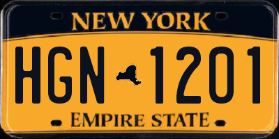 NY license plate HGN1201