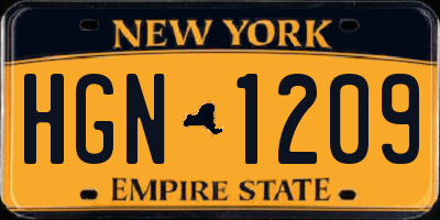NY license plate HGN1209