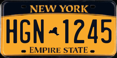 NY license plate HGN1245