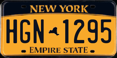 NY license plate HGN1295