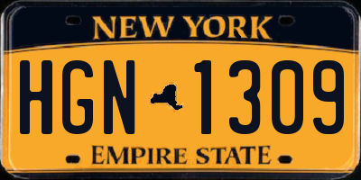 NY license plate HGN1309