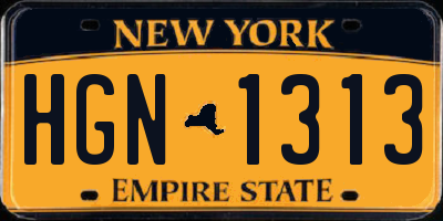 NY license plate HGN1313