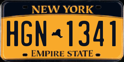 NY license plate HGN1341