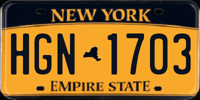 NY license plate HGN1703