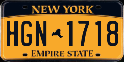 NY license plate HGN1718