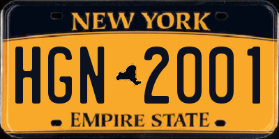 NY license plate HGN2001