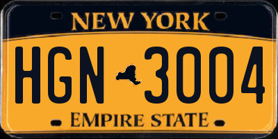 NY license plate HGN3004