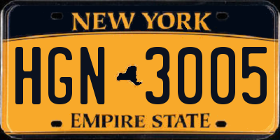 NY license plate HGN3005