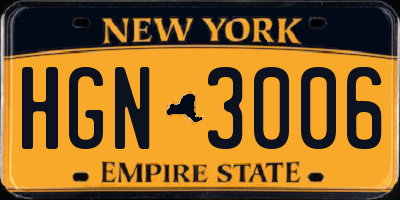 NY license plate HGN3006