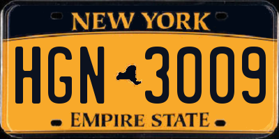 NY license plate HGN3009