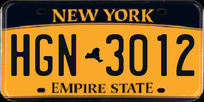 NY license plate HGN3012