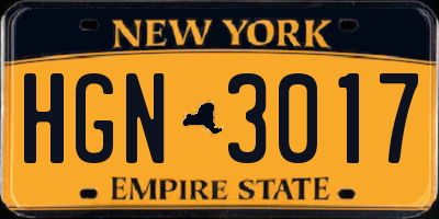 NY license plate HGN3017