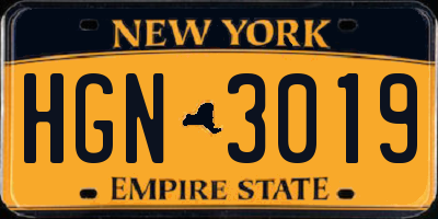 NY license plate HGN3019