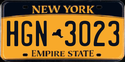 NY license plate HGN3023