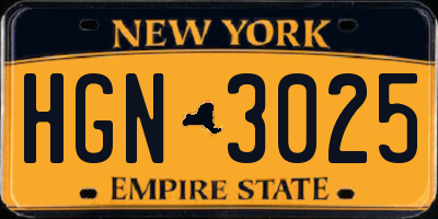 NY license plate HGN3025