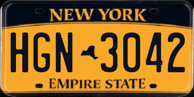 NY license plate HGN3042