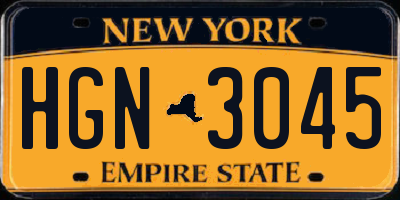 NY license plate HGN3045