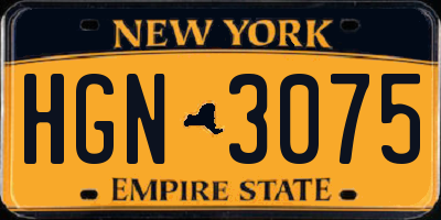 NY license plate HGN3075