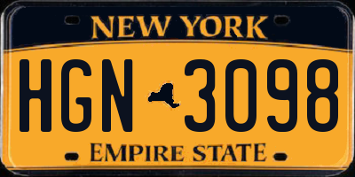 NY license plate HGN3098