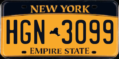 NY license plate HGN3099