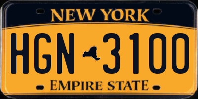 NY license plate HGN3100