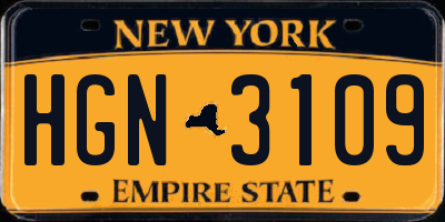 NY license plate HGN3109